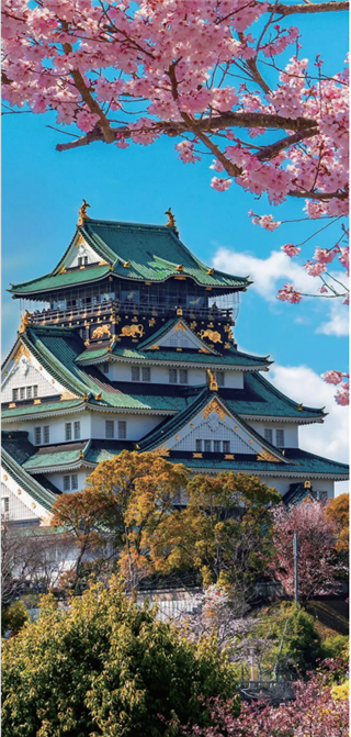 研學(xué)項(xiàng)目|日本東京研學(xué)營(yíng)：7天遇見未來(lái)，在櫻花與動(dòng)漫之國(guó)收獲成長(zhǎng)